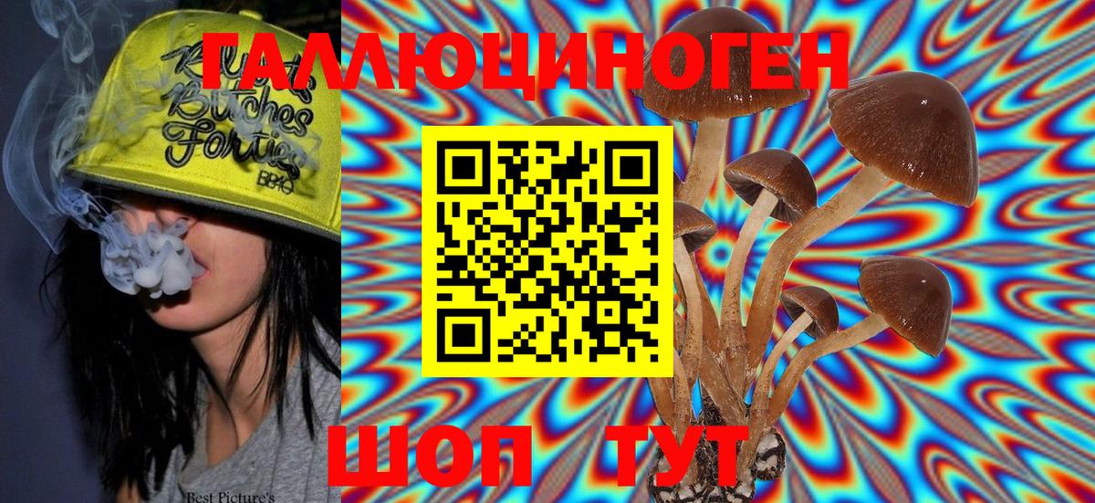 Бахчисарай  Галлюциногенные грибы Magic Shrooms  Вход с VPN 