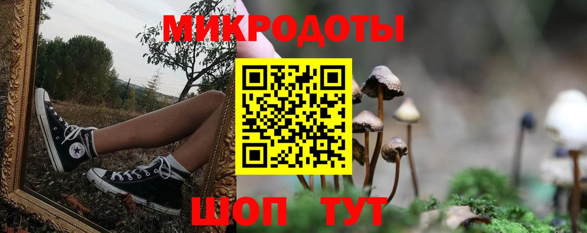 Галлюциногенные грибы прущие грибы Бахчисарай